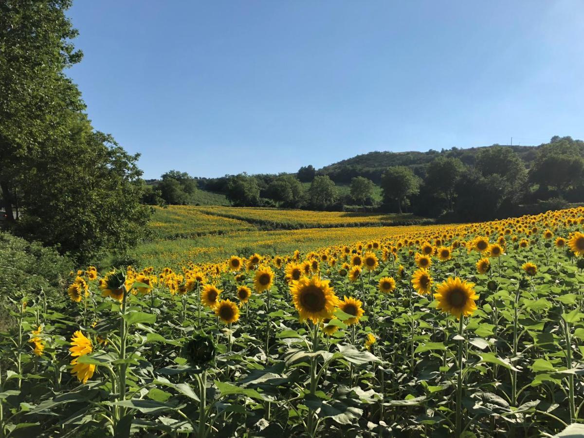 Le Grenier Occitan Bed & Breakfast Gramazie Bagian luar foto